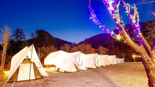 Gapyeong The Camp Caravan Glamping Gapyeong The Camp Caravan Glamping