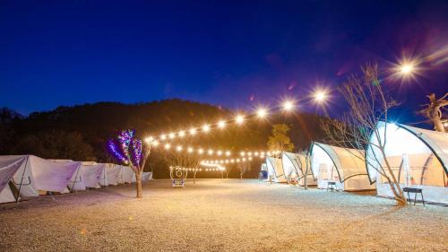 Gapyeong The Camp Caravan Glamping Gapyeong The Camp Caravan Glamping