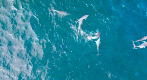 Daejung Secret Gennie Poolvilla Daejung Secret Gennie Poolvilla