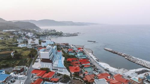 포항 마담아네뜨풀빌라-반려견동반가능