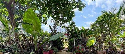 Bruks Guest House