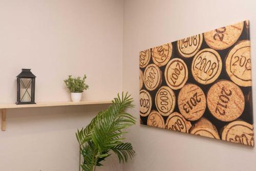 L'immeuble Carnot - Plottes