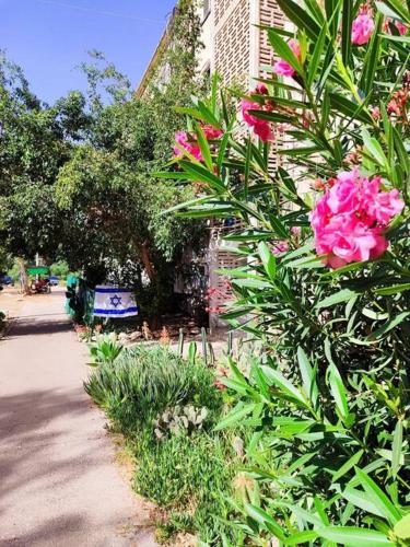 A flat with a garden 25, Haïfa (photo 10)