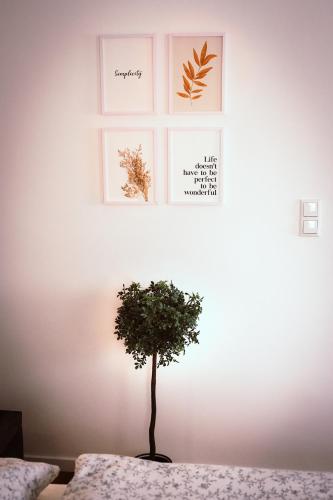 Studio Duria in Düren, Deutschland