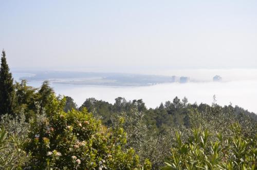 哈玛尔奥卢尔酒店