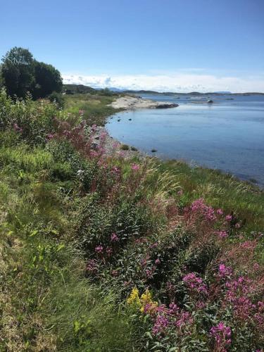 Restaurert Nordlandshus in Bronnoysund