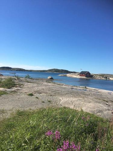 Restaurert Nordlandshus in Bronnoysund