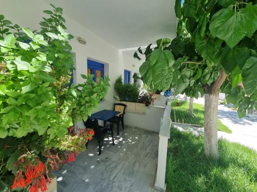 Leonidas Studios & Apartments - image 2