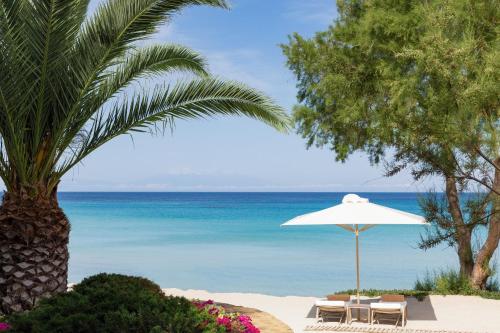 Beach, Sani Club in Chalkidiki