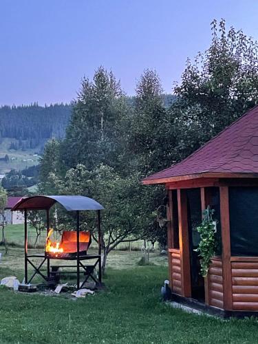 Садиба Карпат, Verkhovyna (foto 4)