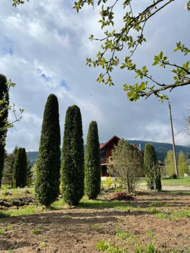 Садиба Карпат, Verkhovyna (foto 8)