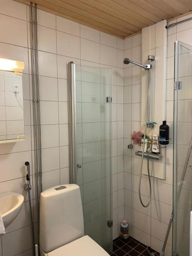 Kotimaailma Aparthotel Kamppi - Pieni yksiö, Helsinki (foto 6)