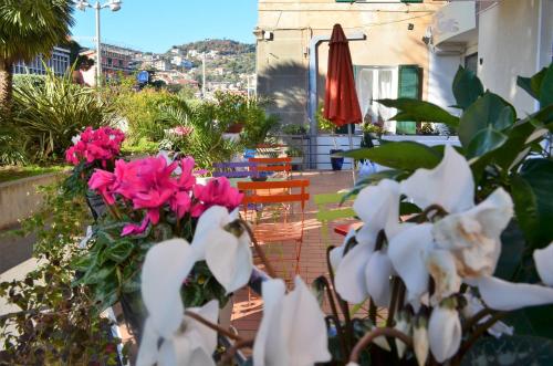 設施, 瓦拉澤斯波特酒店 (Hotel Spot Varazze) in 瓦拉澤