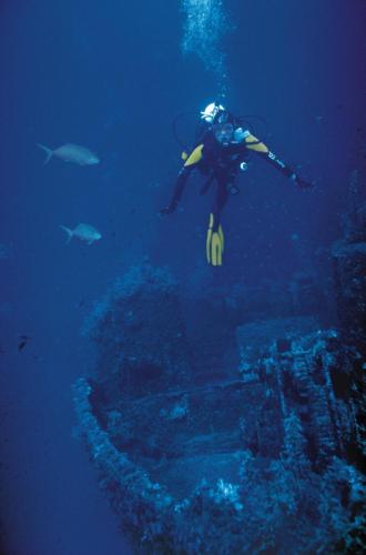 撒尼海滩酒店 撒尼海滩酒店