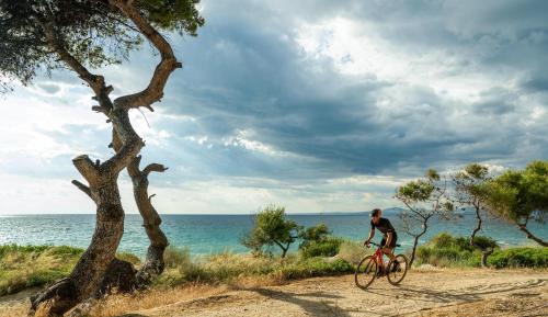 撒尼海滩酒店 撒尼海滩酒店