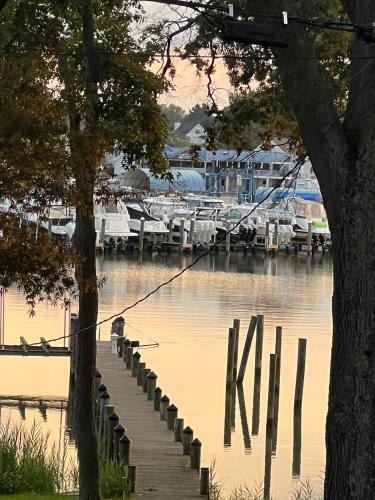 Waters Edge with Pier in Shady Side, USA