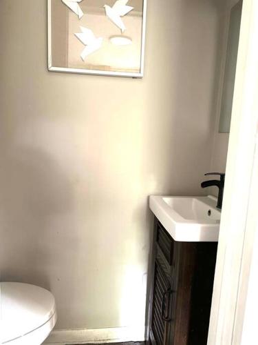 Smart TVs-Self Check-In-Full Kitchen-King bed in Jacksonville, USA