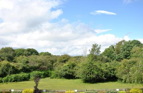 Balmer Lawn - main image