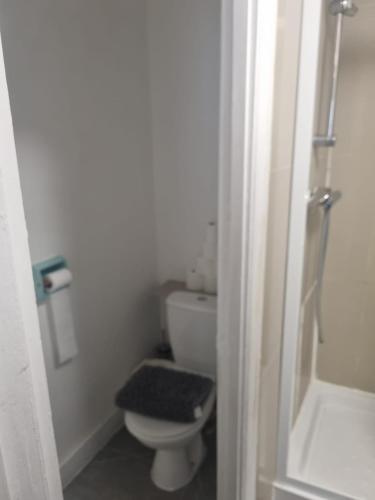 Duplex Flat By Hyde Park - 5, London (photo 6)