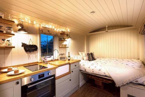 Starlight Shepherd Hut in Bampton (Oxfordshire)