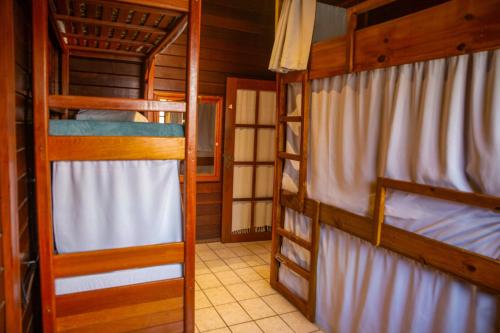 Bed in 6-Bed Female Dormitory Room image 4