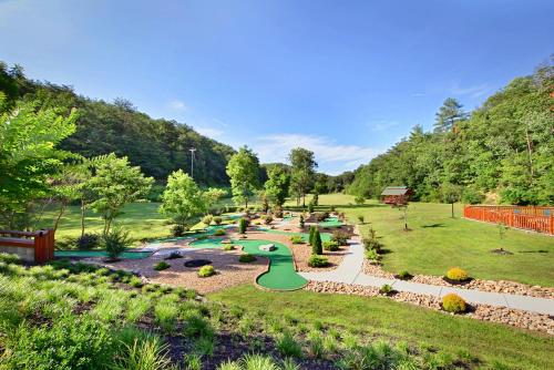 Knotty Bear in Pigeon Forge, USA