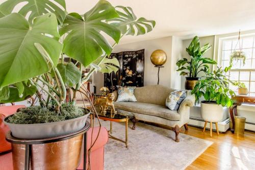 Downtown by RISD Gigabite Internet OnSite Free Parking