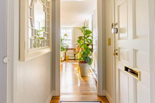 Downtown by RISD Gigabite Internet OnSite Free Parking