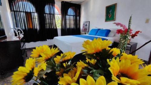. NUEVA ADM- Hotel Occidental