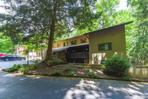 Bearly Ober By Colonial Properties - image 12