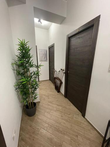 Policlinico Room 5