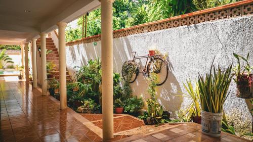 Garden, Hotel del Parque in Sta Lucia
