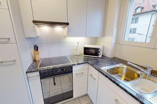 Kitchen, Nice 1 BR flat city center near lake - D7 near Parkanlage Zuerihorn