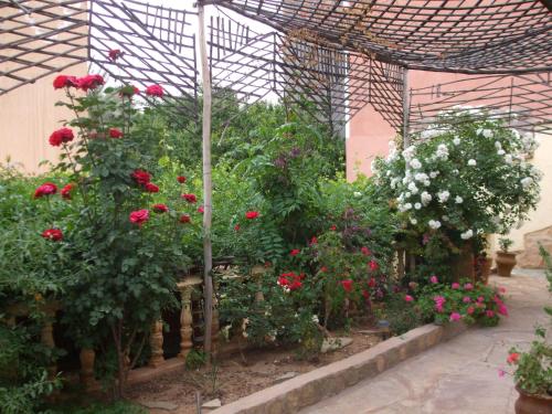 棕榈树宾馆 棕榈树宾馆