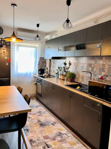 Comfortable Baia Mare Apartment in 巴亞馬雷市中心