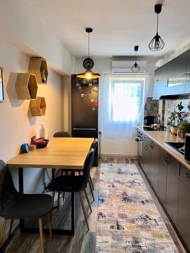 Comfortable Baia Mare Apartment in 巴亞馬雷市中心