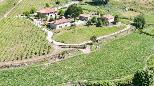 Quinta de Carvalhal - Casa da Vinha gîte à louer Selho