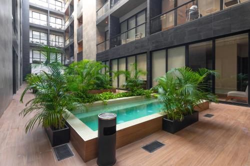Musa del Carmen By Boutique Apartments MX in Playa del Carmen, Mexico