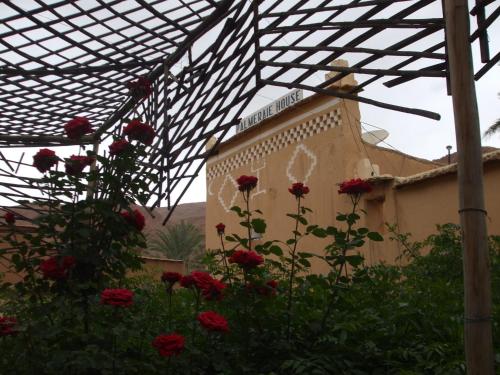 棕榈树宾馆 棕榈树宾馆