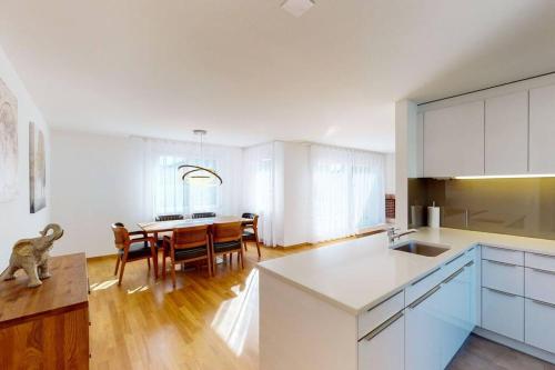 Fantastic Penthouse near Lake - Mainau 14, Zúrich (foto 5)