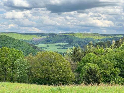 Groepshuis Eifel I - image 8