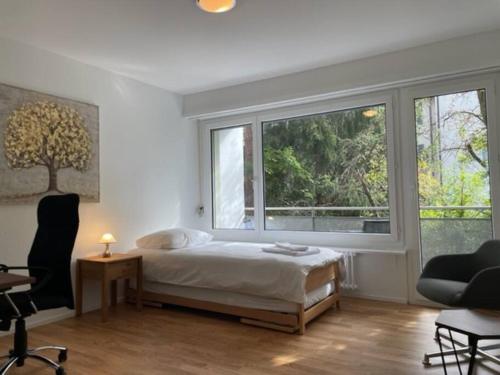 Sunny and very central 2BR flat - Sky8, Curych (fotografie 8)
