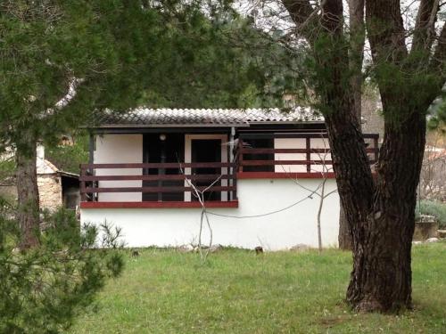 House Tia - image 3