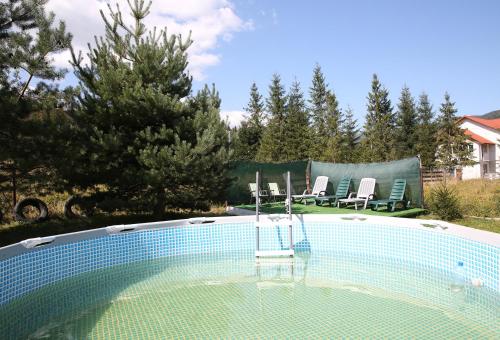 Den House in Viškiva