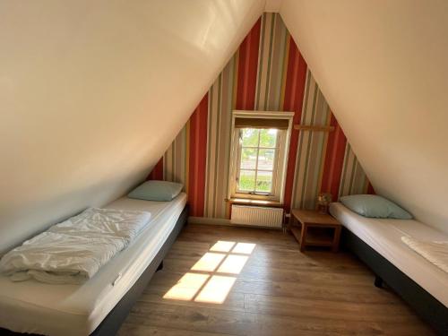 Villa in Netherlands with Hot Tub & Garden, Hippolytushoef (zdjęcie 8)