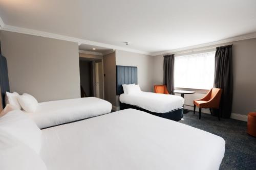 Springfield Hotel - image 5