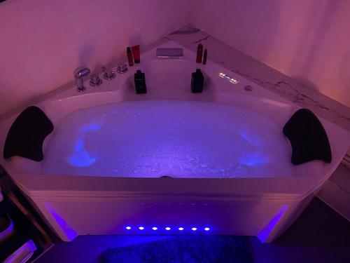 Karstais baseins, Chalet Lutétia, SPA & confort (Chalet Lutetia, SPA & confort) in Cormeilles-en-Parisis