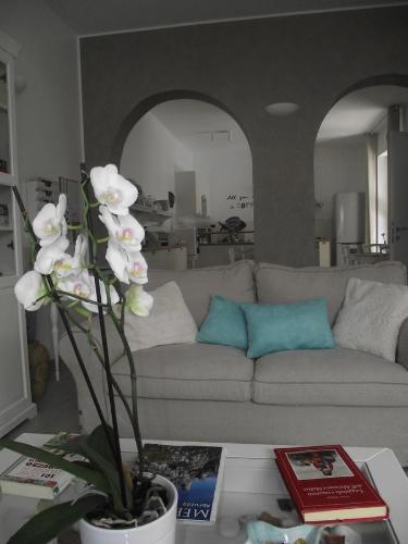 Mediterranea Sea House 5
