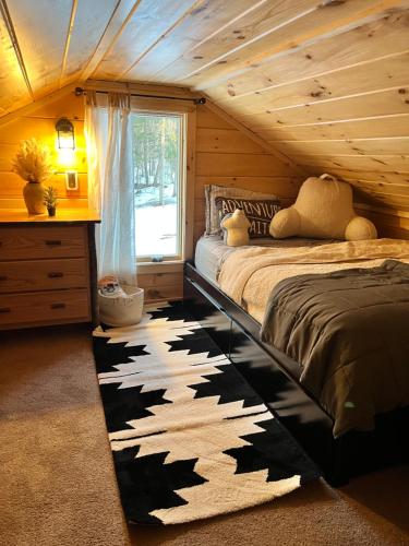 Adirondack Cabin Retreat in Adirondack, USA