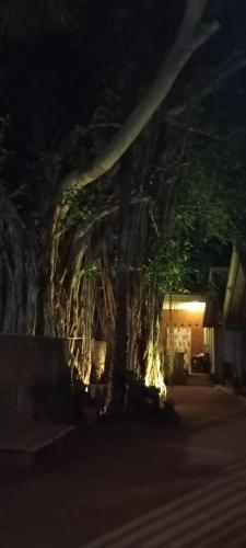 Cool Banyan Cabana - image 2